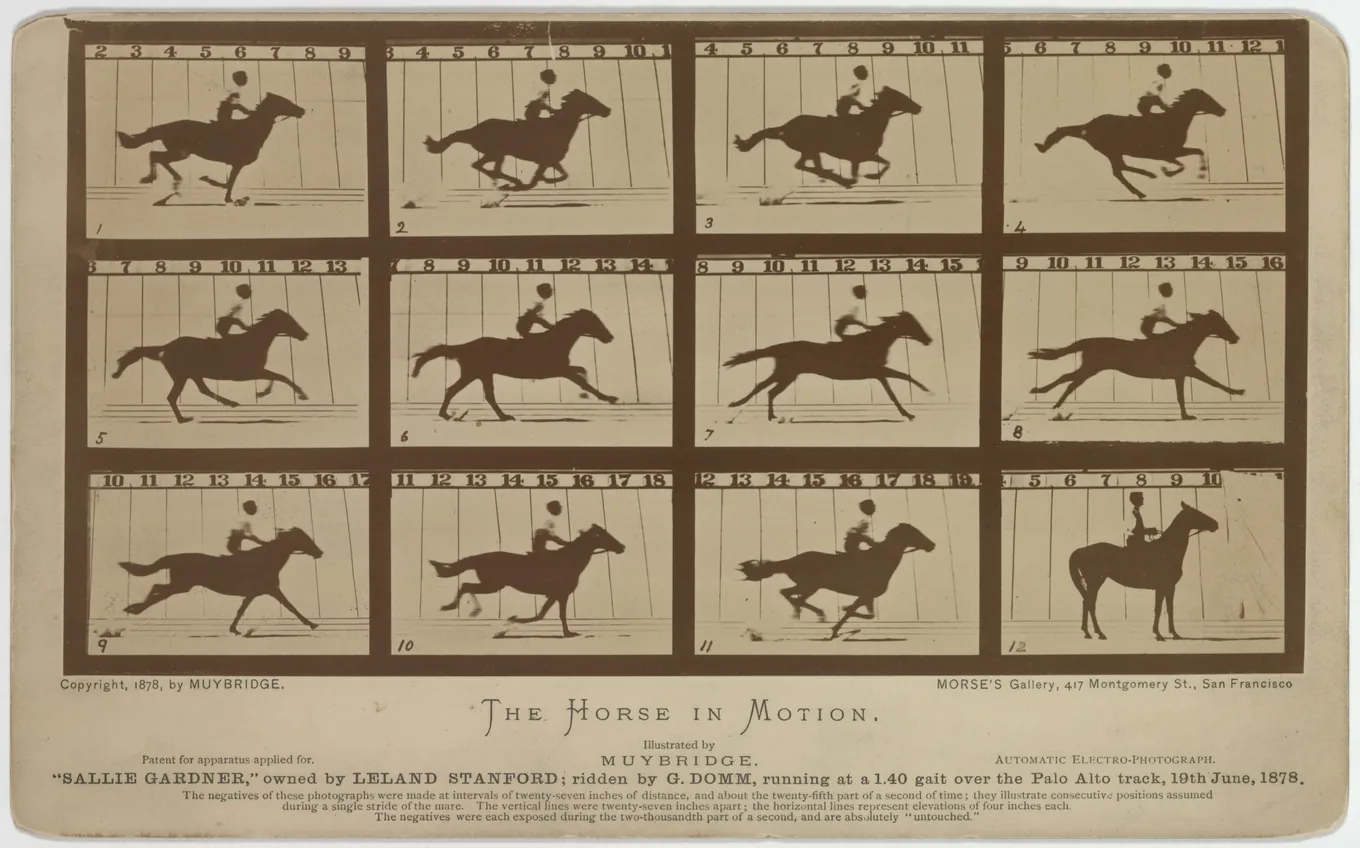 Doce fotografías en secuencia de un jinete a galope, que descomponen la zancada del caballo fotograma a fotograma.