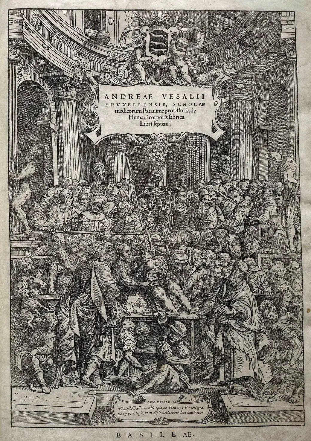 Grabado: Vesalio diseca un cadáver en un anfiteatro abarrotado de estudiantes y doctores que se asoman para ver.